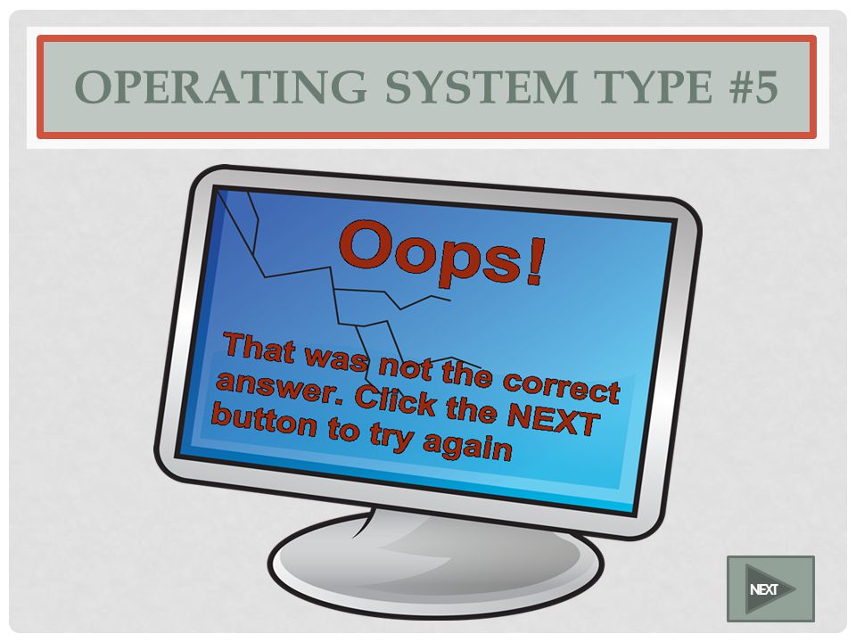OPERATING SYSTEM TYPE #5 NEXT