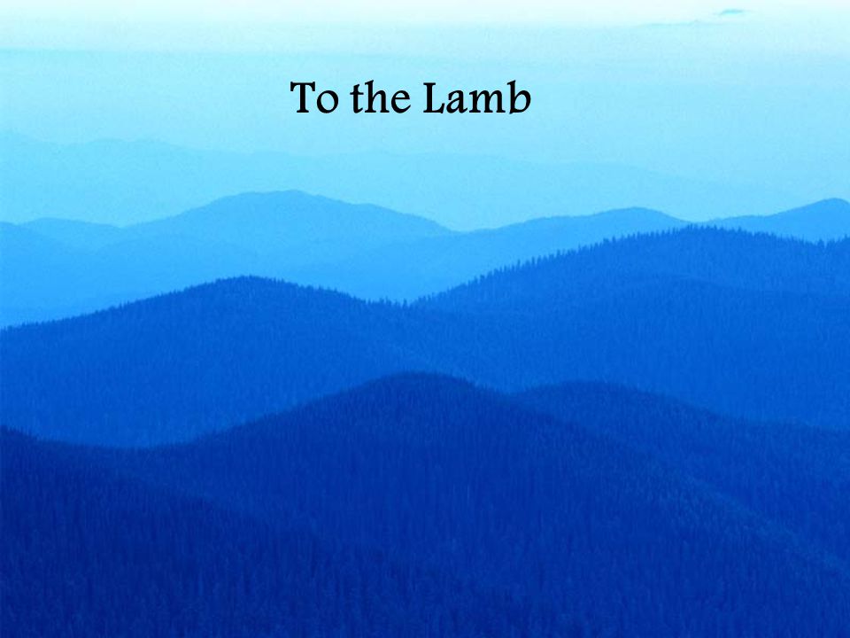 To the Lamb