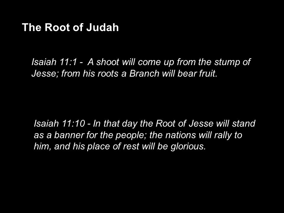 Isaiah 11:1 - A shoot will come up from the stump of Jesse; from his roots a Branch will bear fruit.
