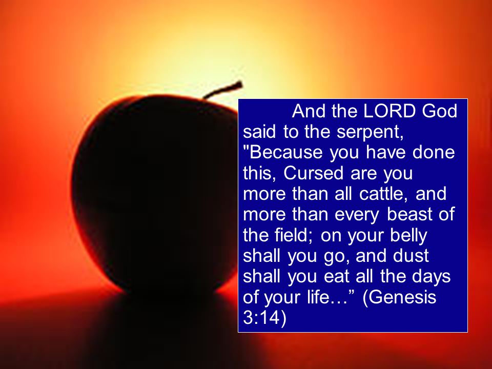 And the LORD God said to the serpent, Because you have done this, Cursed are you more than all cattle, and more than every beast of the field; on your belly shall you go, and dust shall you eat all the days of your life… (Genesis 3:14)