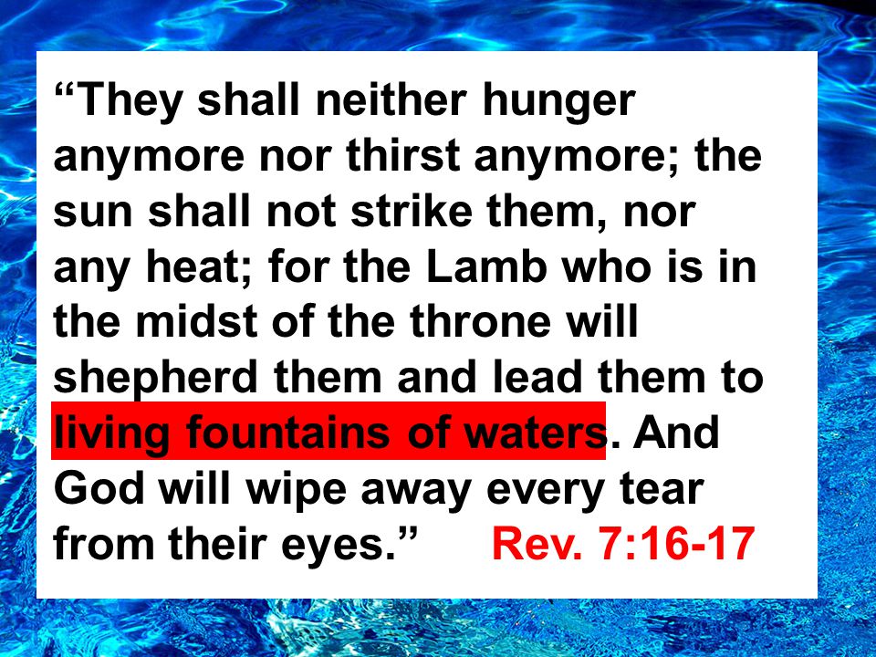 They shall neither hunger anymore nor thirst anymore; the sun shall not strike them, nor any heat; for the Lamb who is in the midst of the throne will shepherd them and lead them to living fountains of waters.