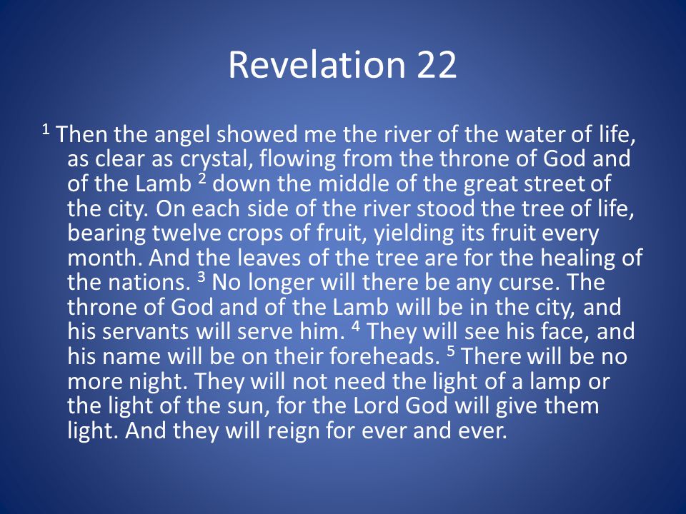 Revelation 22 1 Then the angel showed me the river of the water of life, as clear as crystal, flowing from the throne of God and of the Lamb 2 down the middle of the great street of the city.