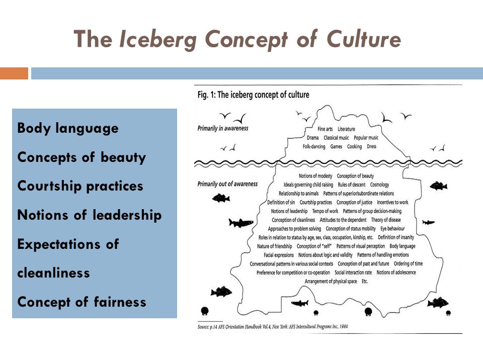 The Iceberg Concept of Culture Body language Concepts of beauty Courtship practices Notions of leadership Expectations of cleanliness Concept of fairness