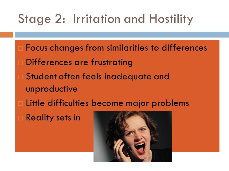 Stage 2: Irritation and Hostility  Focus changes from similarities to differences  Differences are frustrating  Student often feels inadequate and unproductive  Little difficulties become major problems  Reality sets in