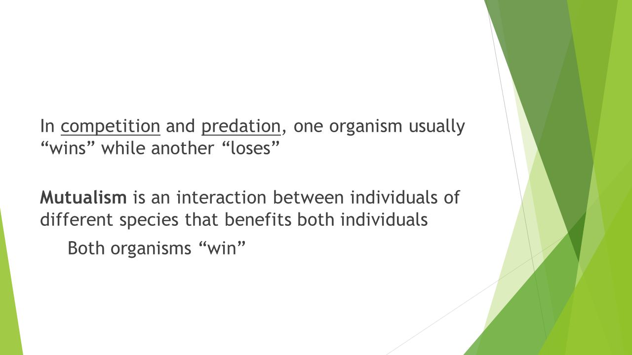 In competition and predation, one organism usually wins while another loses Mutualism is an interaction between individuals of different species that benefits both individuals Both organisms win
