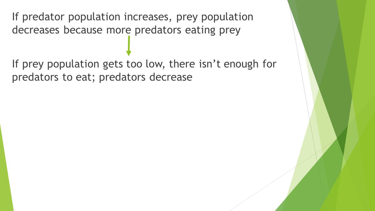 If prey population gets too low, there isn’t enough for predators to eat; predators decrease