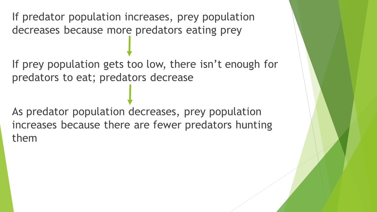 If predator population increases, prey population decreases because more predators eating prey If prey population gets too low, there isn’t enough for predators to eat; predators decrease As predator population decreases, prey population increases because there are fewer predators hunting them