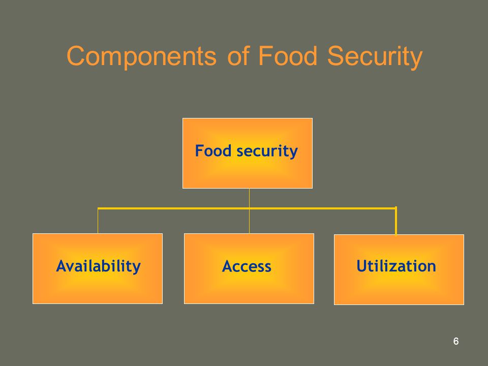 6 Components of Food Security UtilizationAvailability Food security Access