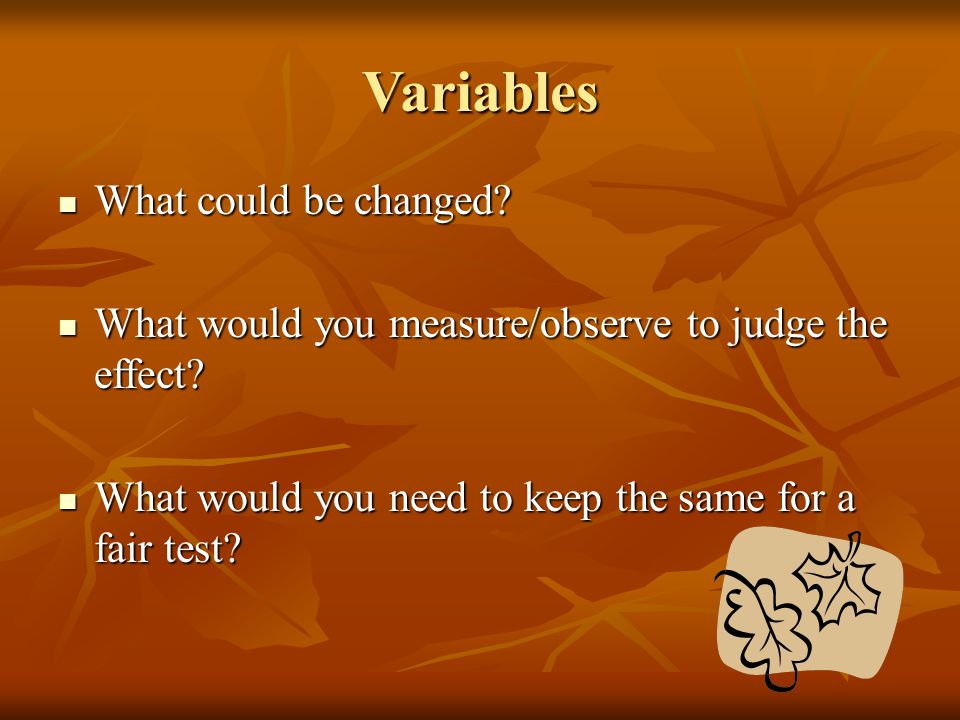 Variables What could be changed. What could be changed.