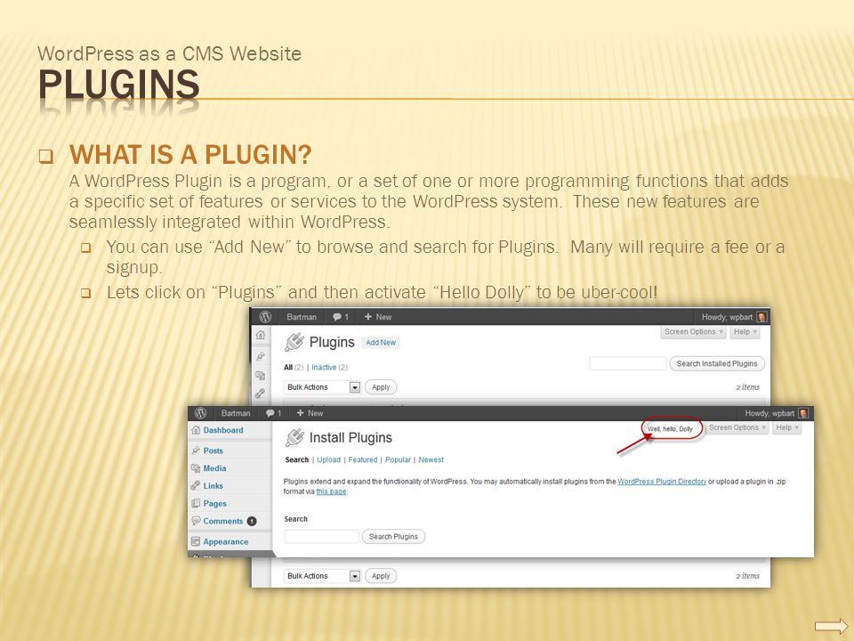 WordPress as a CMS Website  WHAT IS A PLUGIN.