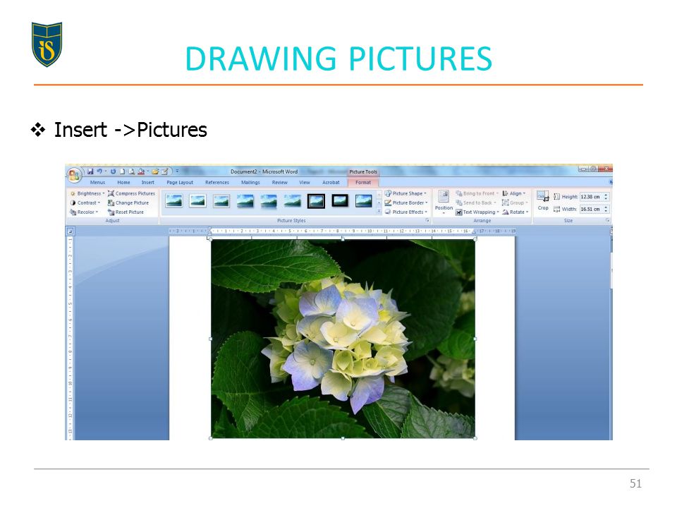 DRAWING PICTURES  Insert ->Pictures 51