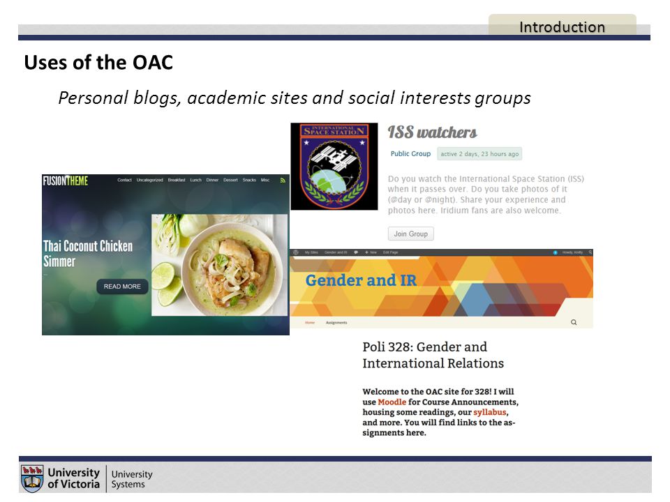 Uses of the OAC Personal blogs, academic sites and social interests groups AGENDA Introduction