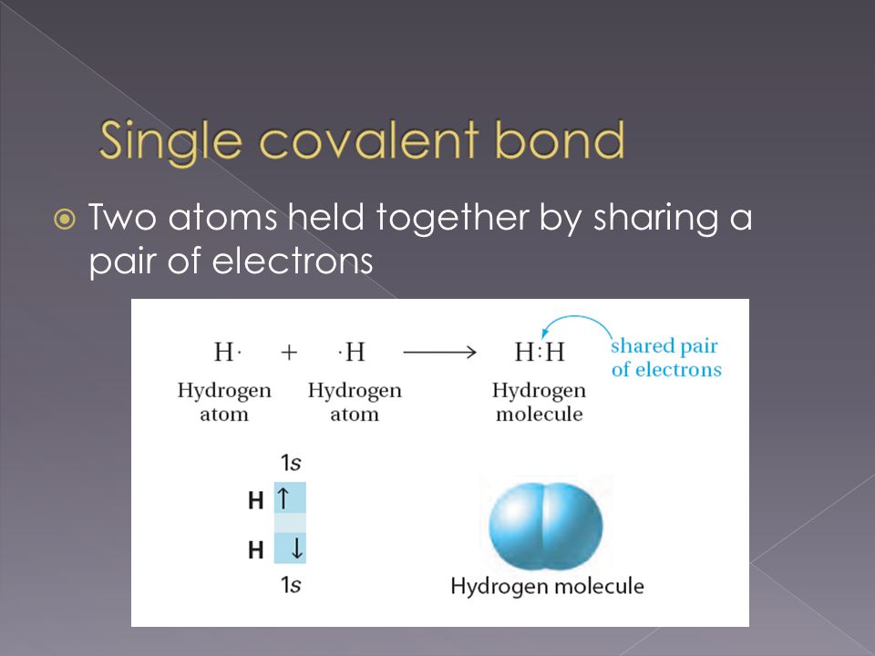  Two atoms held together by sharing a pair of electrons
