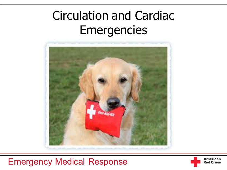 Emergency Medical Response Circulation and Cardiac Emergencies