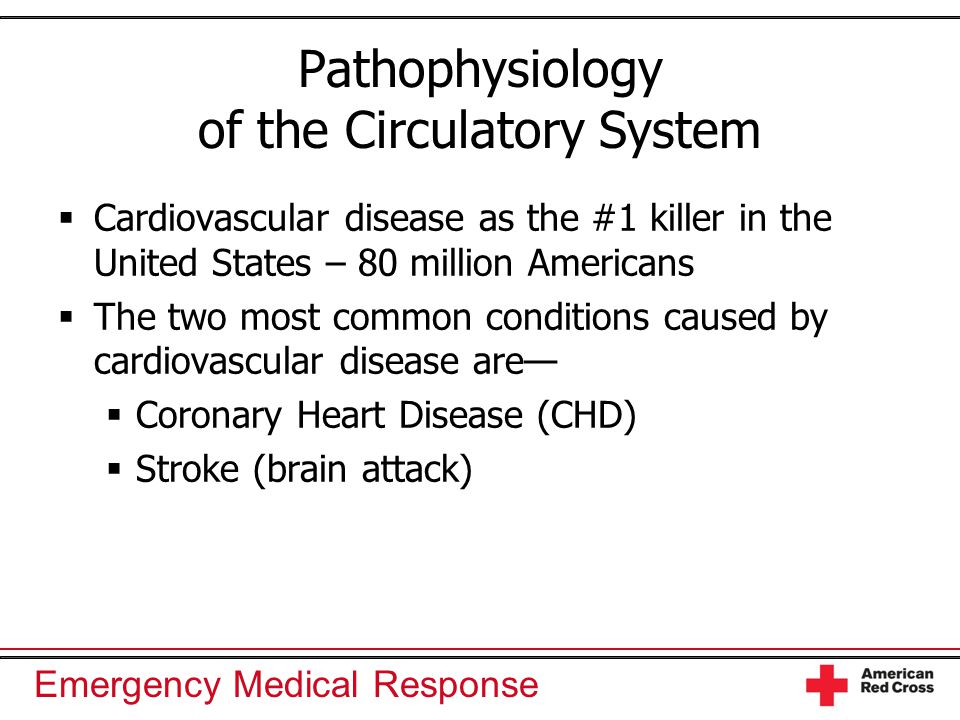 Emergency Medical Response Pathophysiology of the Circulatory System  Cardiovascular disease as the #1 killer in the United States – 80 million Americans  The two most common conditions caused by cardiovascular disease are—  Coronary Heart Disease (CHD)  Stroke (brain attack)