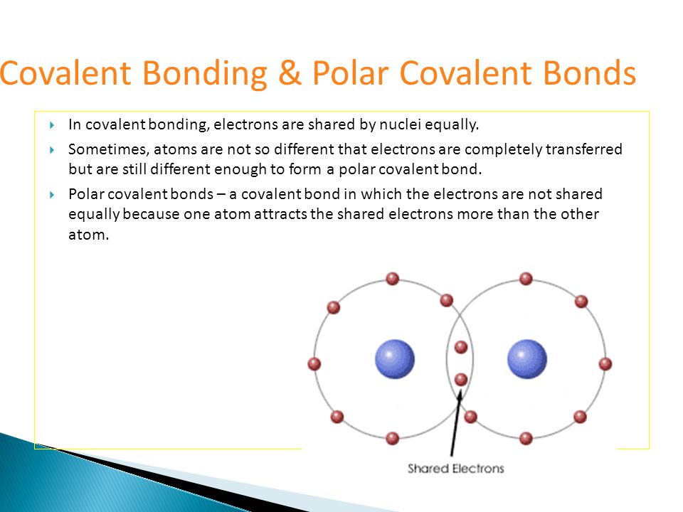  In covalent bonding, electrons are shared by nuclei equally.