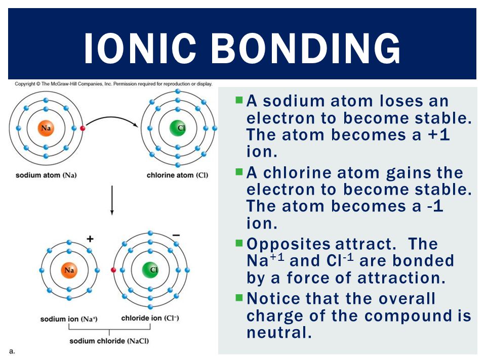  A sodium atom loses an electron to become stable.