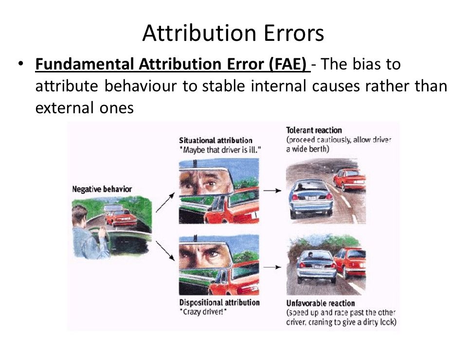 the attribution theory essay the attribution theory essay