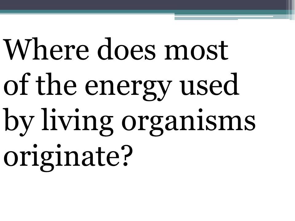 Where does most of the energy used by living organisms originate