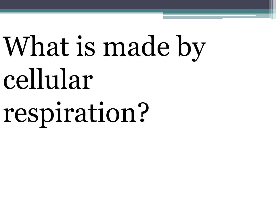 What is made by cellular respiration