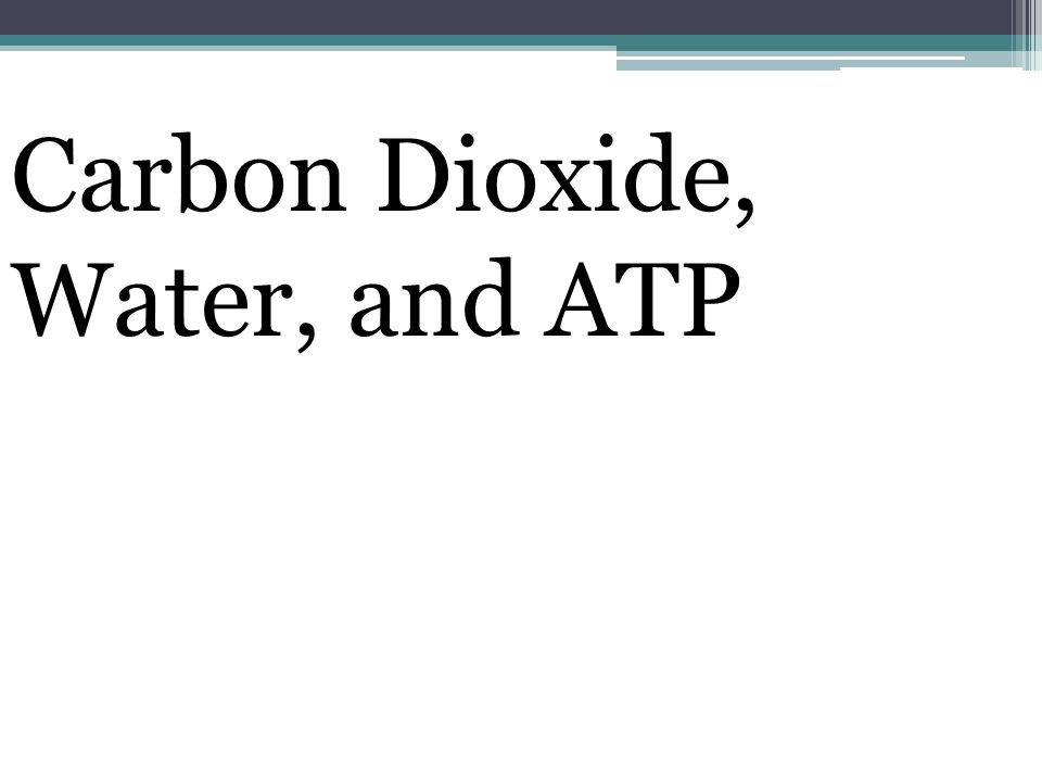 Carbon Dioxide, Water, and ATP
