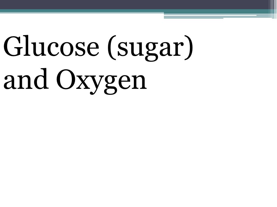 Glucose (sugar) and Oxygen