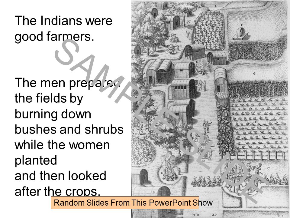 The Indians were good farmers.
