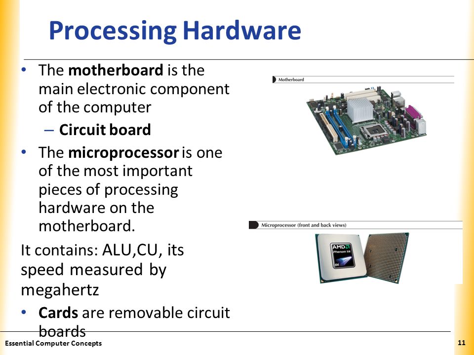 XP Processing Hardware The motherboard is the main electronic component of the computer – Circuit board The microprocessor is one of the most important pieces of processing hardware on the motherboard.