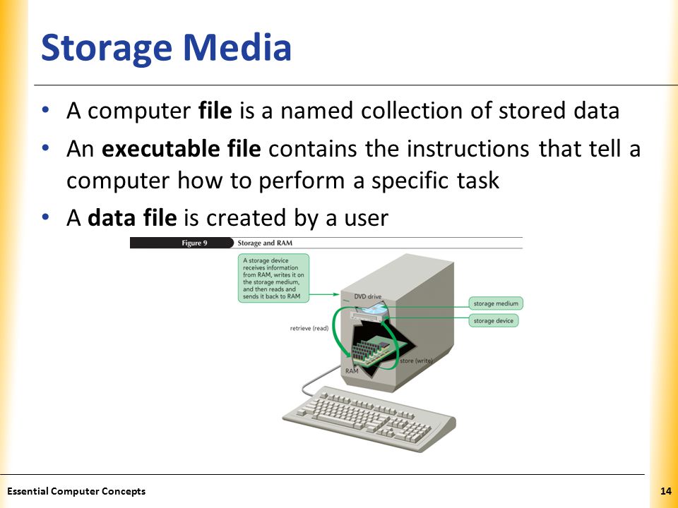 XP Storage Media A computer file is a named collection of stored data An executable file contains the instructions that tell a computer how to perform a specific task A data file is created by a user 14Essential Computer Concepts