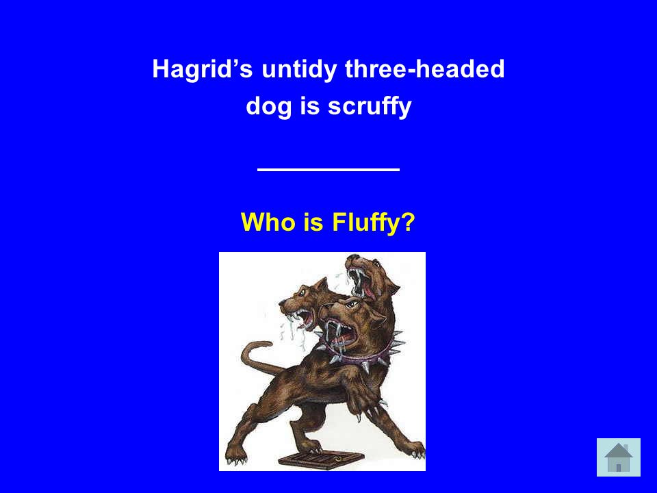 Hagrid’s untidy three-headed dog is scruffy Who is Fluffy