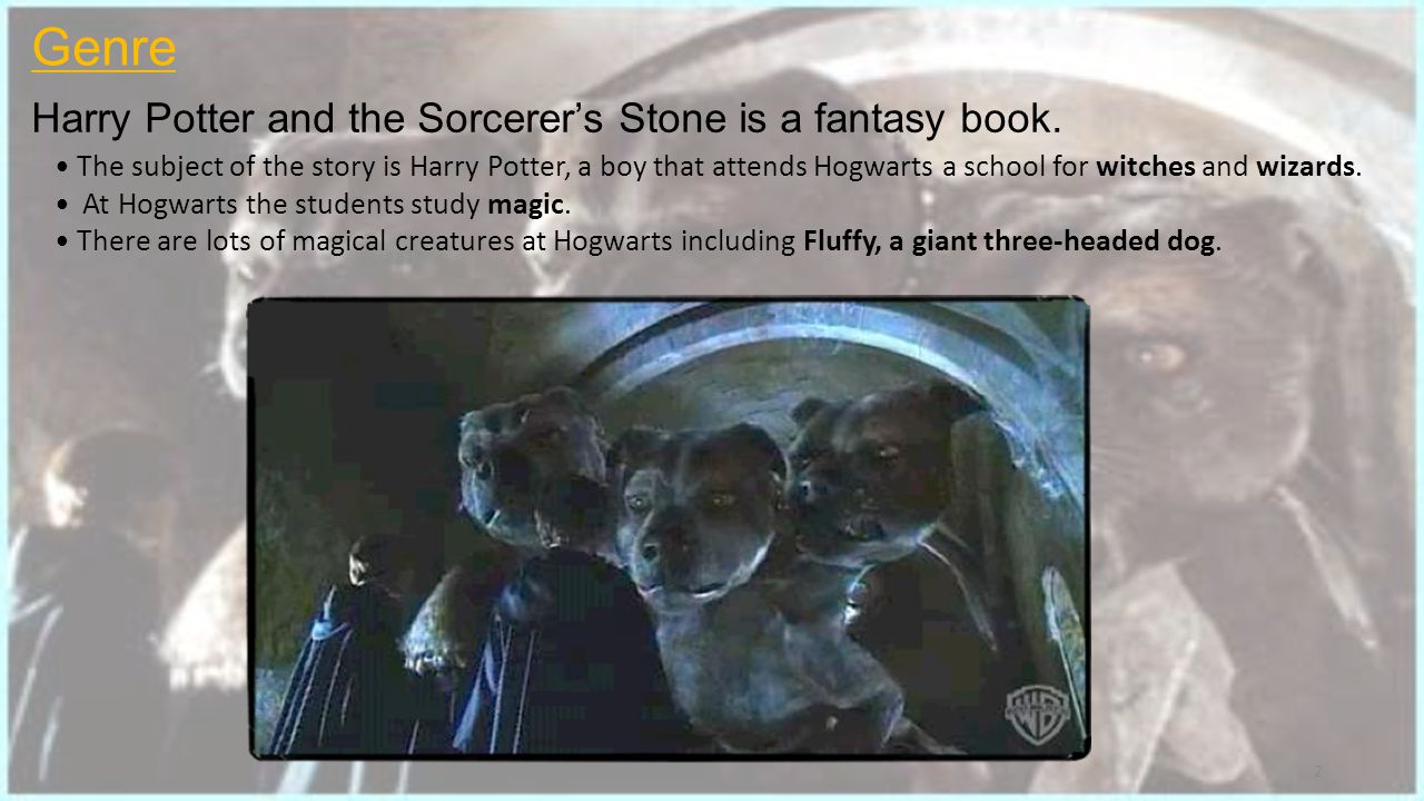 2 Harry Potter and the Sorcerer’s Stone is a fantasy book.