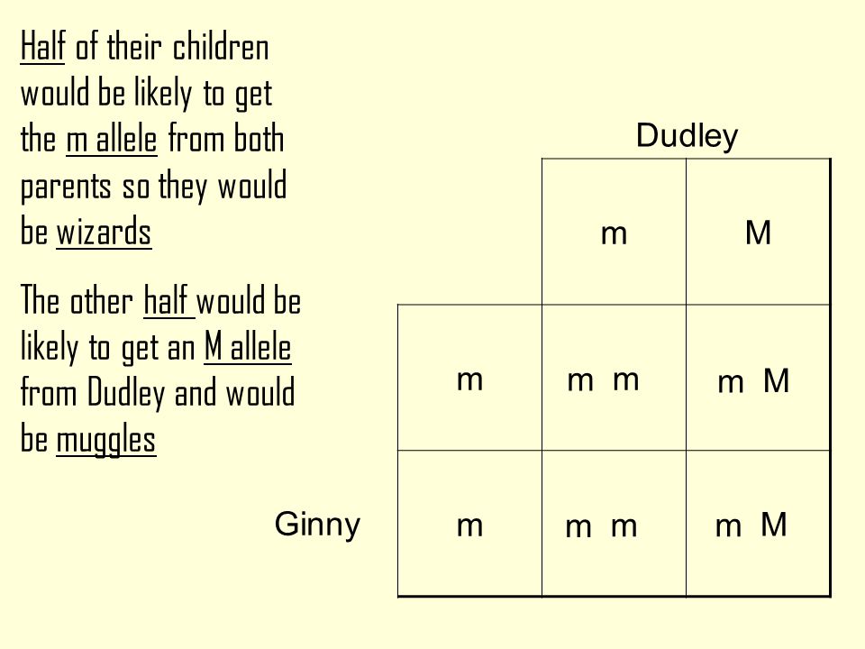What wizarding alleles would Ginny and Dudley’s children have if Dudley is Mm Ginny mm Dudley Mm Children WW or mM m M m m