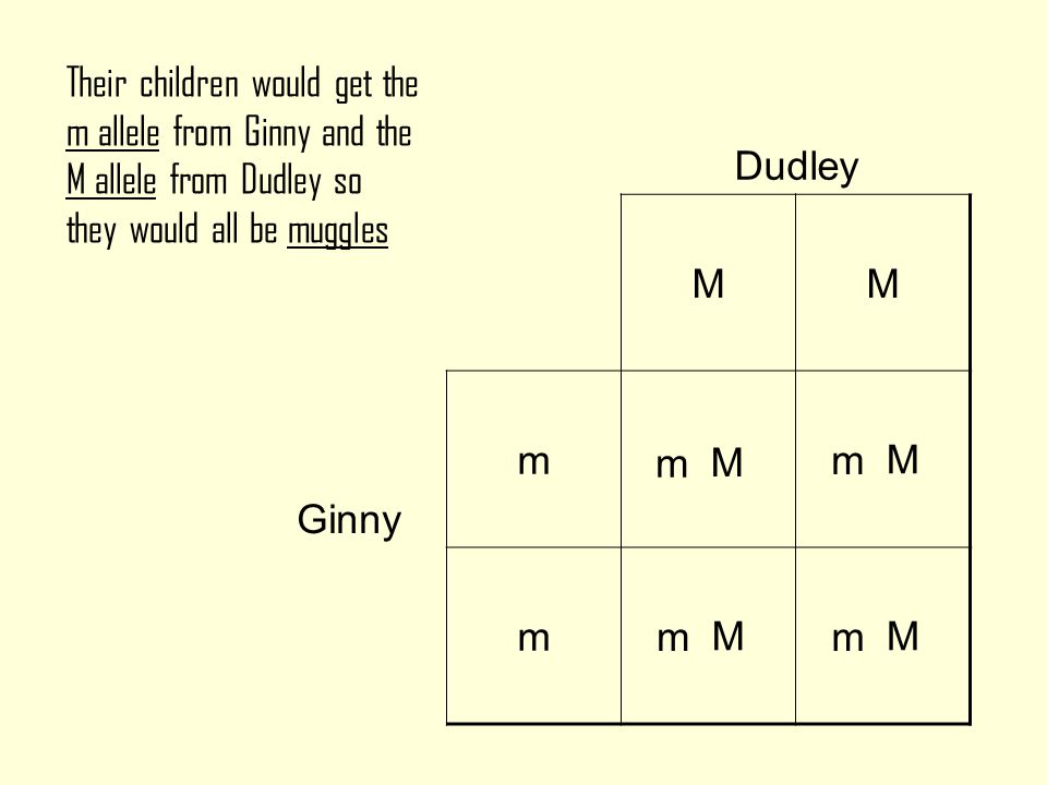 What wizarding alleles would Ginny and Dudley’s children have .