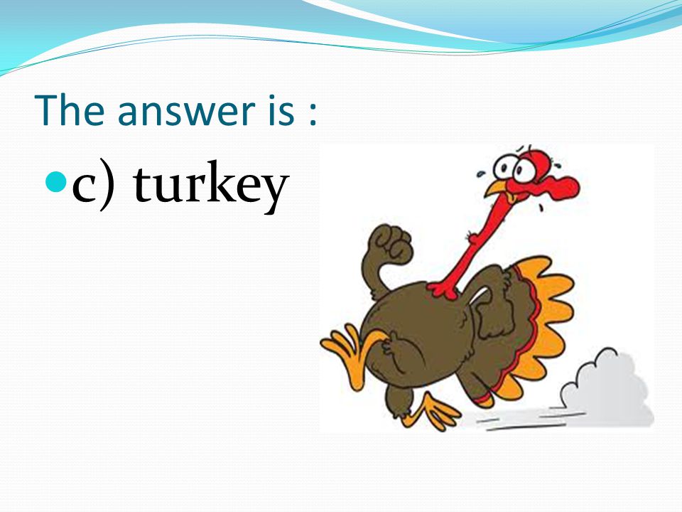 9. What is the dumbest animal on earth a) chicken b) rats c) turkey
