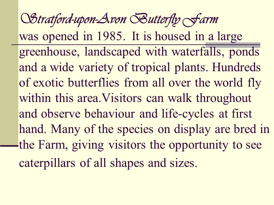 Stratford-upon-Avon Butterfly Farm was opened in 1985.