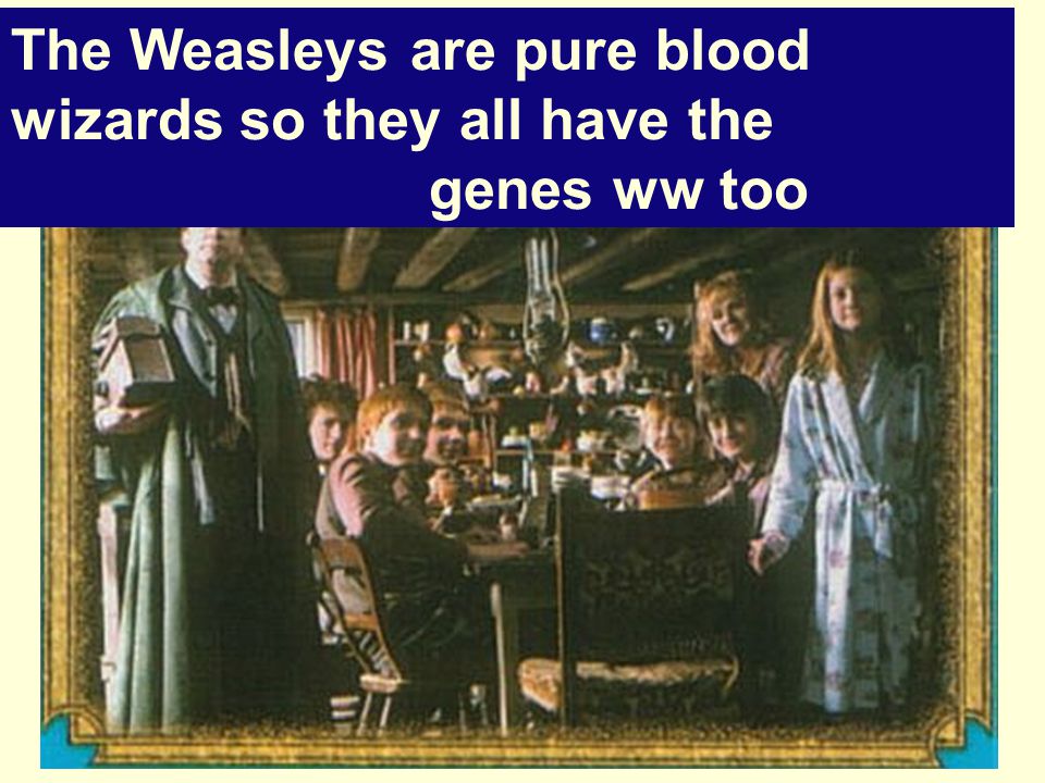 The Weasleys are pure blood wizards so they all have the genes ww too