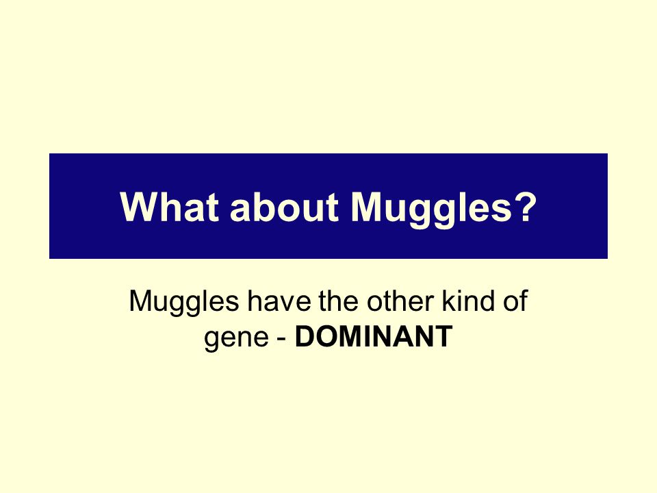 What about Muggles Muggles have the other kind of gene - DOMINANT