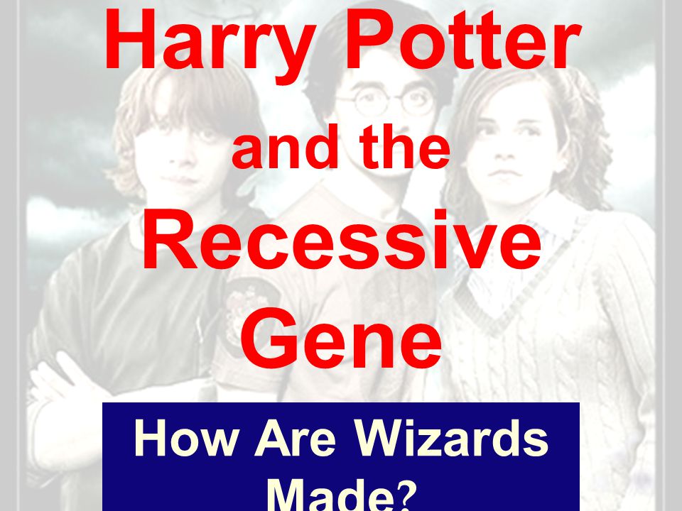 Harry Potter and the Recessive Gene How Are Wizards Made