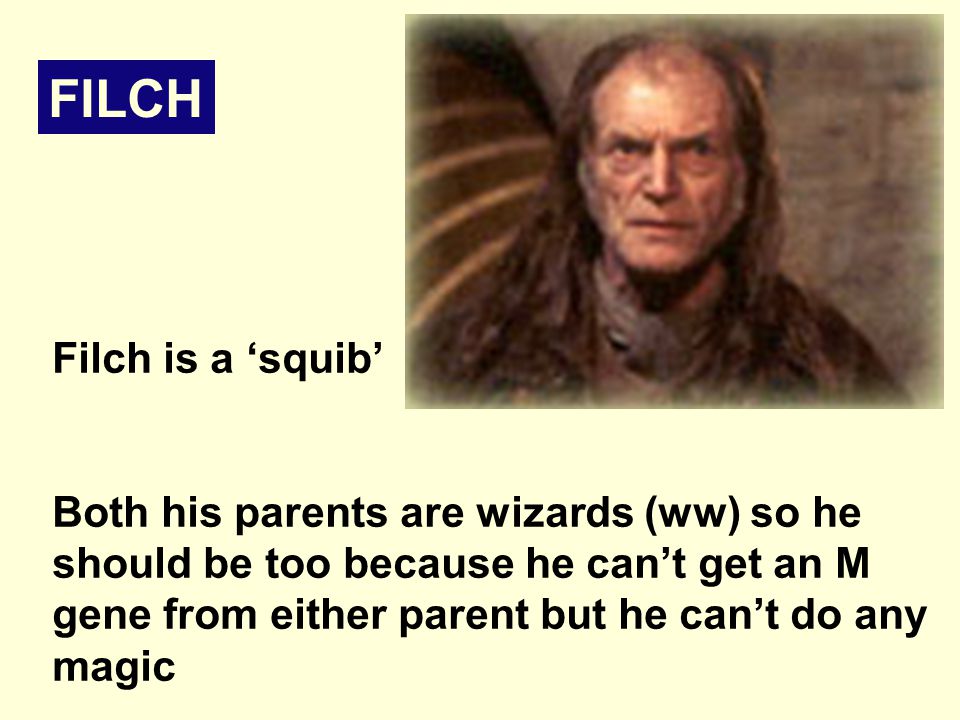 Filch is a ‘squib’ Both his parents are wizards (ww) so he should be too because he can’t get an M gene from either parent but he can’t do any magic This means he has a MUTATION so his wizarding powers don’t work.