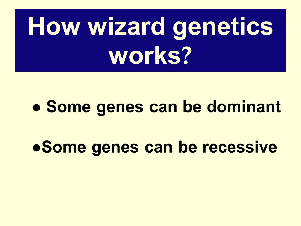 How wizard genetics works ● Some genes can be dominant ●Some genes can be recessive