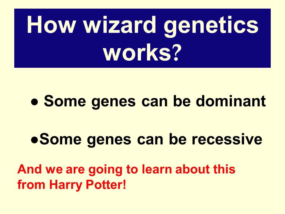 How wizard genetics works .