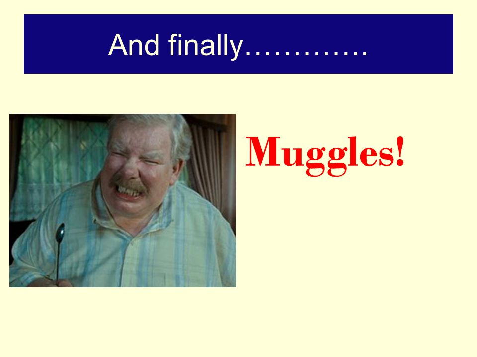 And finally…………. Muggles!