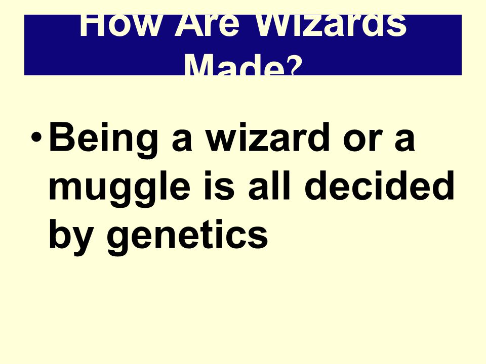 How Are Wizards Made Being a wizard or a muggle is all decided by genetics