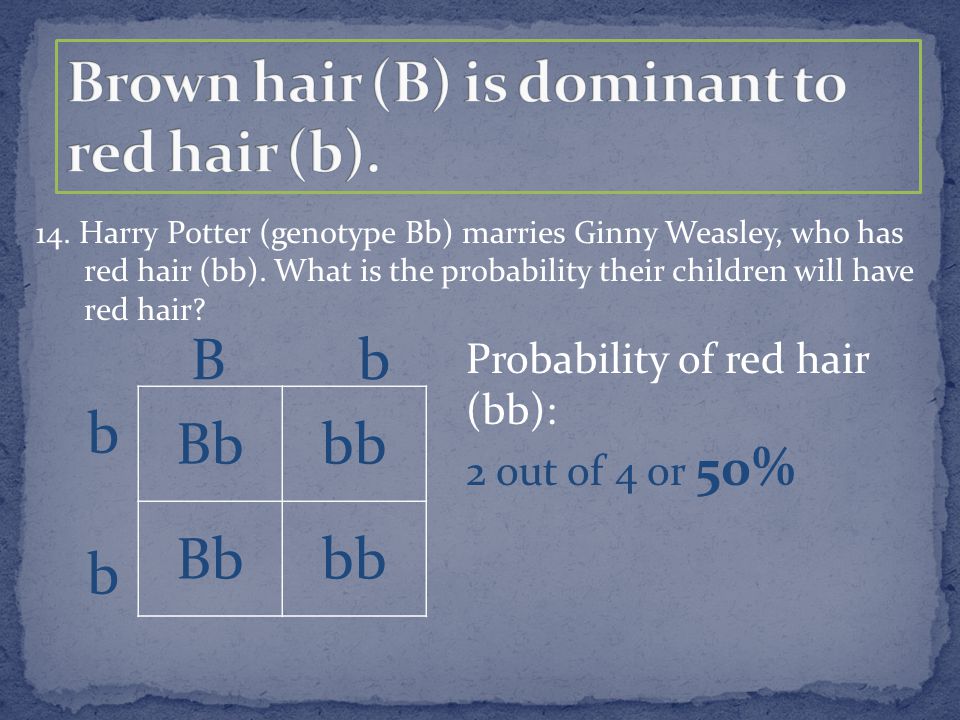 14. Harry Potter (genotype Bb) marries Ginny Weasley, who has red hair (bb).