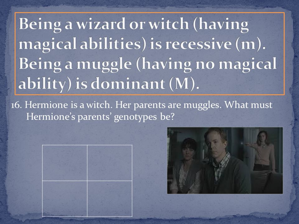 16. Hermione is a witch. Her parents are muggles. What must Hermione’s parents’ genotypes be