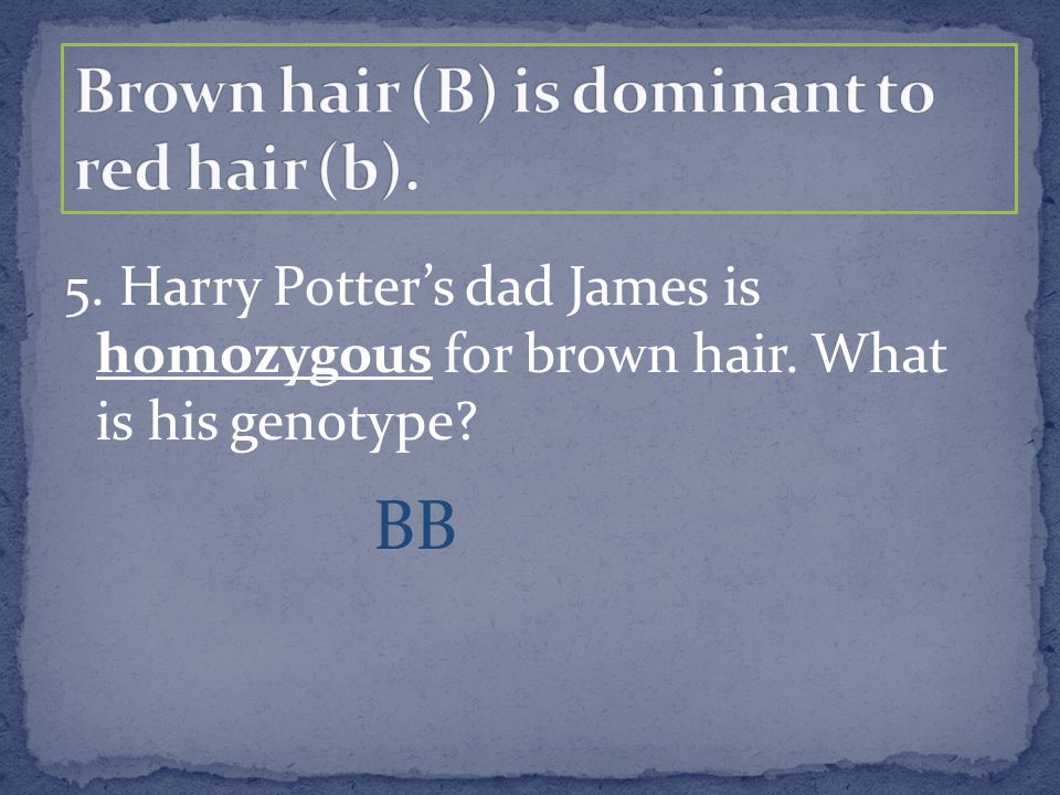 5. Harry Potter’s dad James is homozygous for brown hair. What is his genotype BB