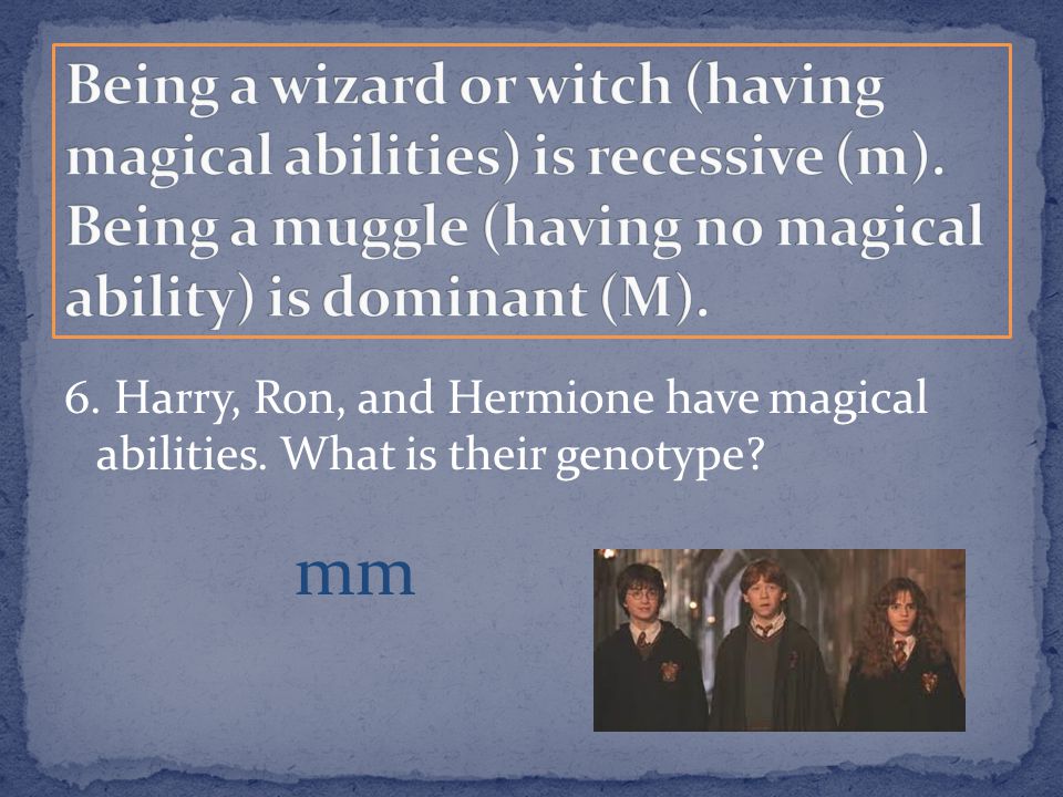 6. Harry, Ron, and Hermione have magical abilities. What is their genotype mm