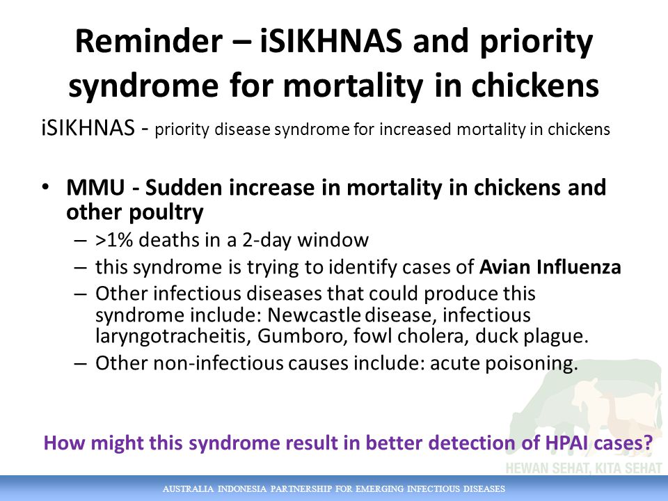 Indonesia cases of avian influenza