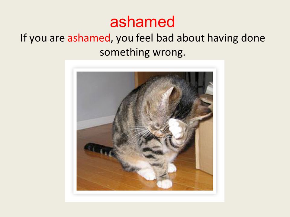 ashamed If you are ashamed, you feel bad about having done something wrong.