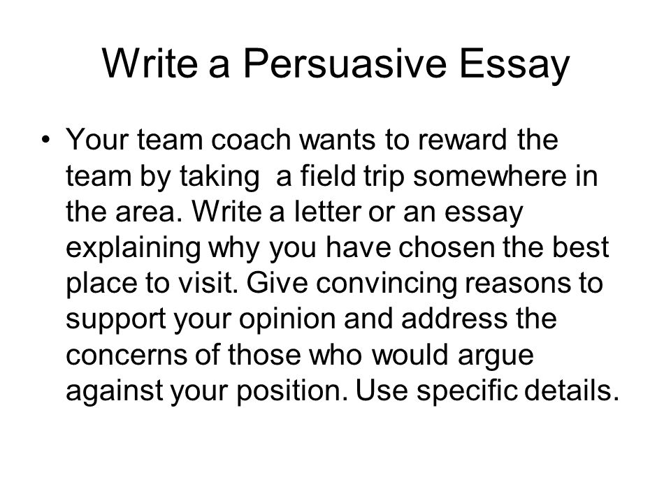 trip essay examples